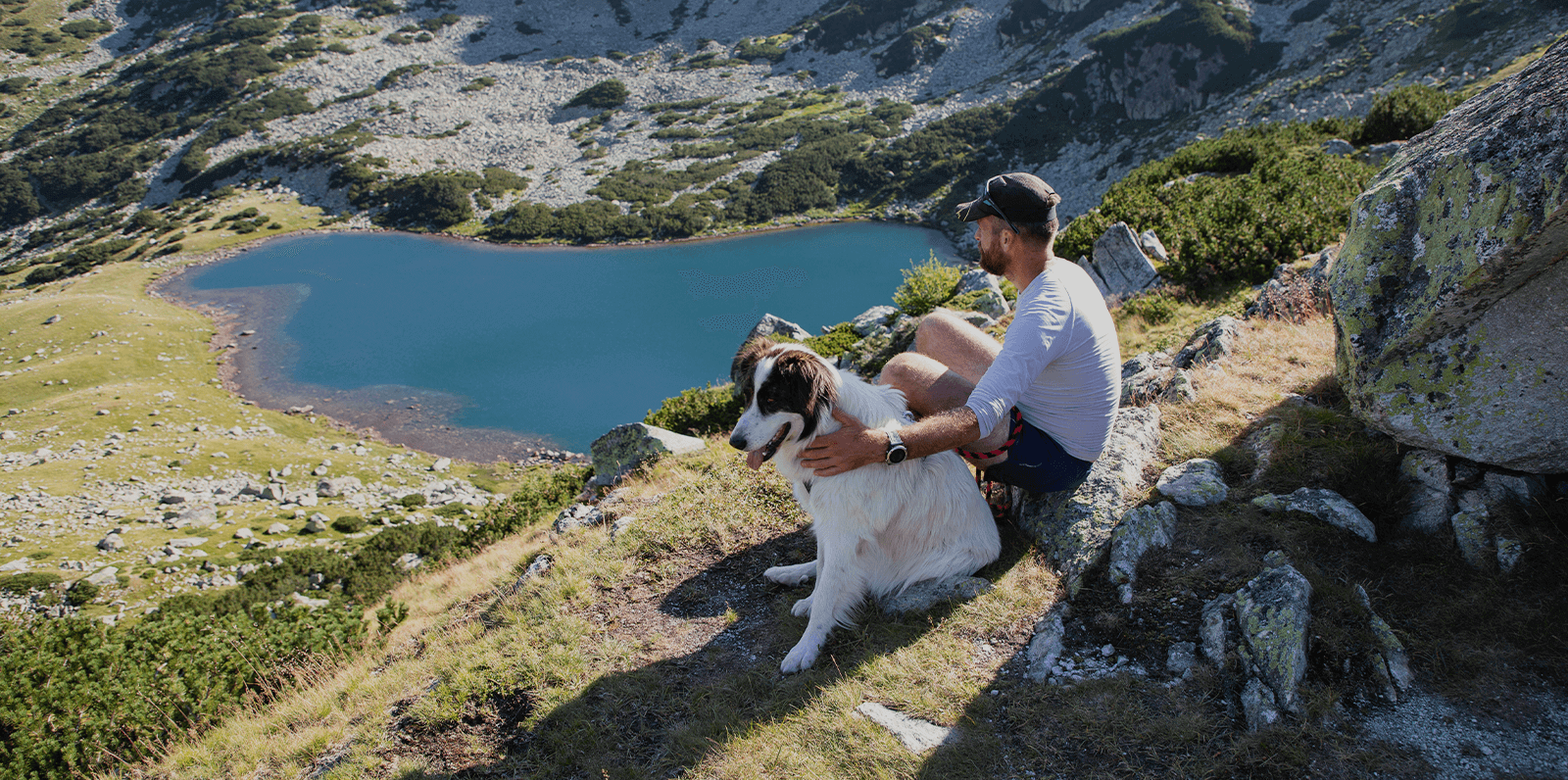 Dog on Trail