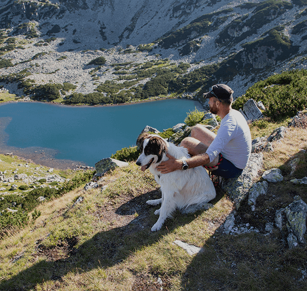 Dog on Trail